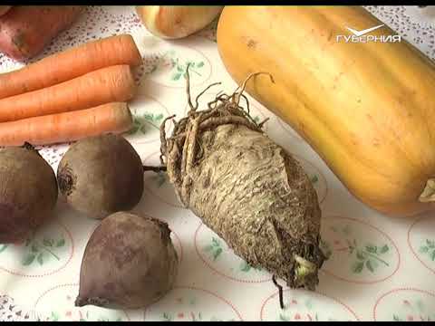 Подводим итоги огородного сезона. Дачные советы от 29.11.2018