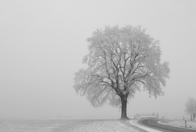 На границе Самарской области ограничено движение по трассе М5 "Урал"