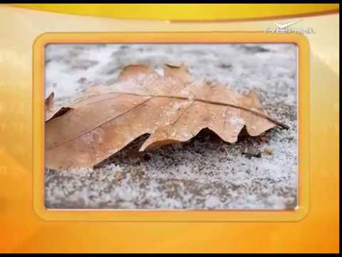 Календарь губернии 05.11.2016