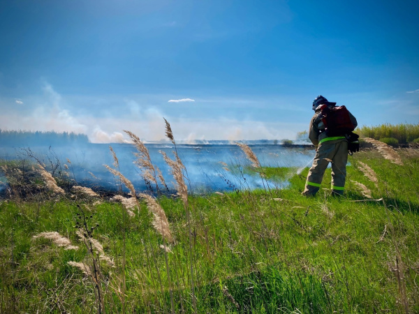 24 апреля в Самарской области загорелась сухая трава на площади 500 кв. м