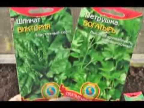 Дачные советы 28.11.2013