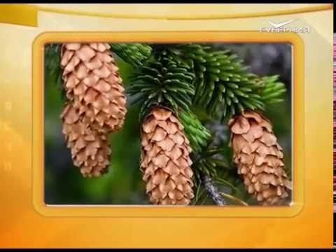 Календарь губернии 03.10.2016