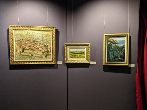 "Ожившие полотна" Никаса Сафронова бесплатно показали самарским медикам