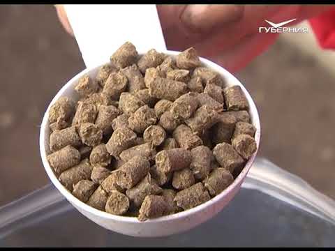 Как правильно сажать плодовые. Дачные советы