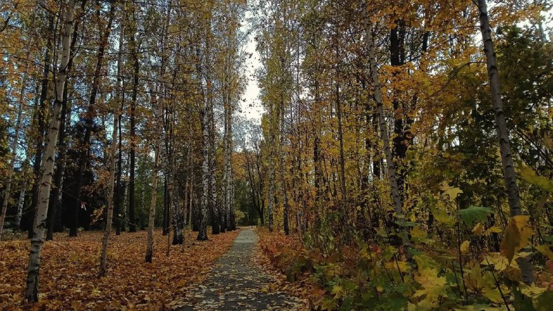 В Самарской области 21 октября будет облачно и по-осеннему тепло
