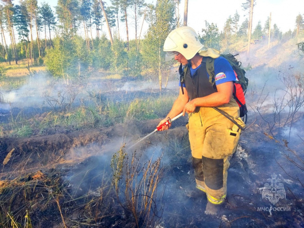 Крупный лесной пожар в Самарской области полностью потушили