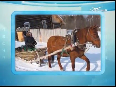 Календарь губернии 04.02.2016
