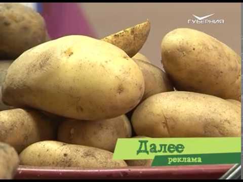 Удачные заметки 02.05.2017. Дачные советы. Экзотические растения. Картофельные грядки