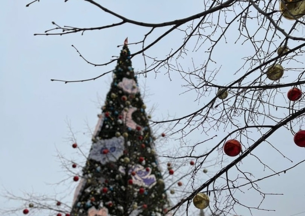 Дмитрий Азаров: Ни одна семья участников СВО не останется без внимания в новогодние праздники