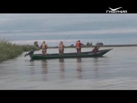 Рыбалка на Бахтемире. Рыбацкое счастье