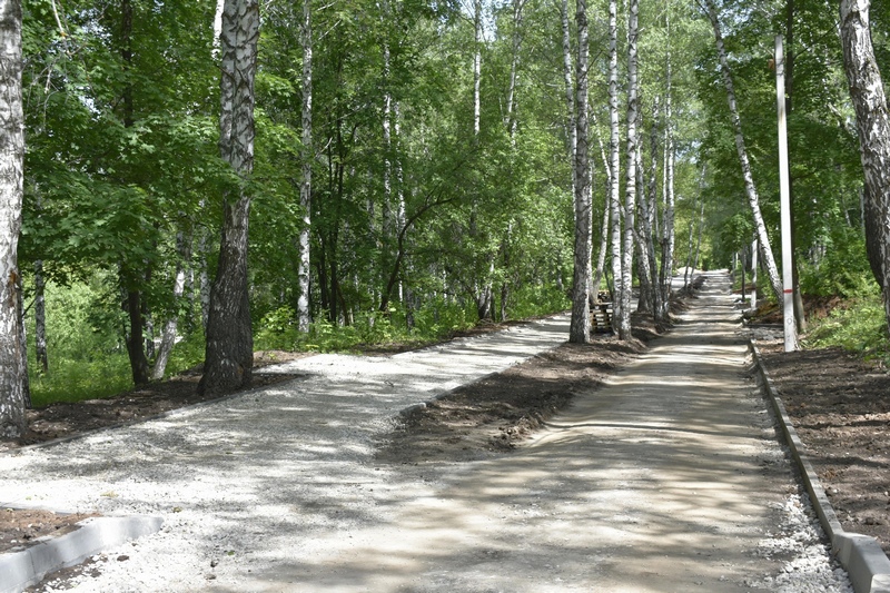 В Березовой роще Жигулевска расширят парковку и обновят зону отдыха