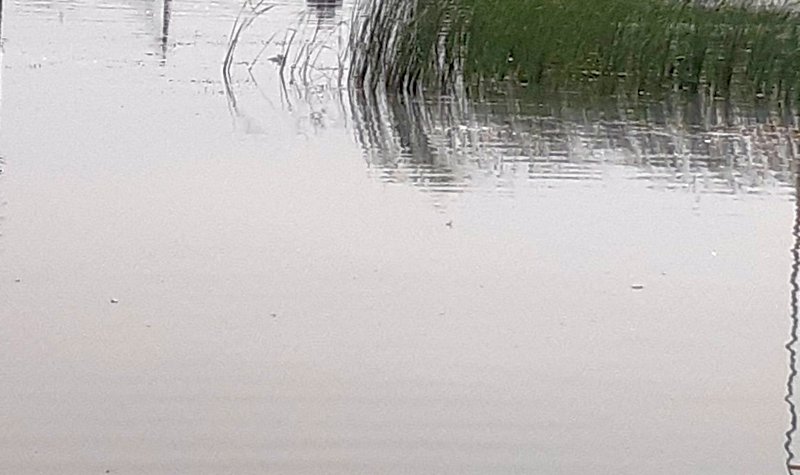 В Нефтегорске применяют новый препарат для очистки водоемов 