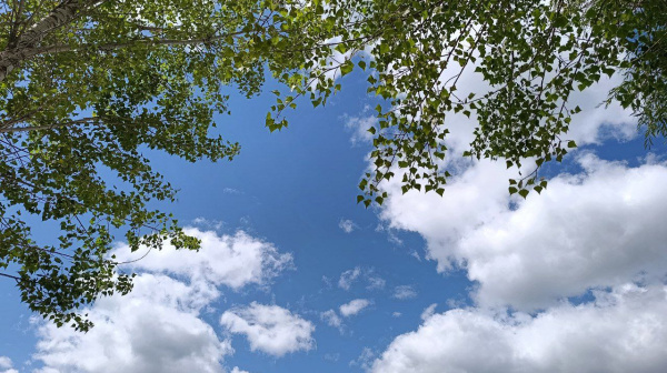 В Самаре 30 августа будет тепло и облачно