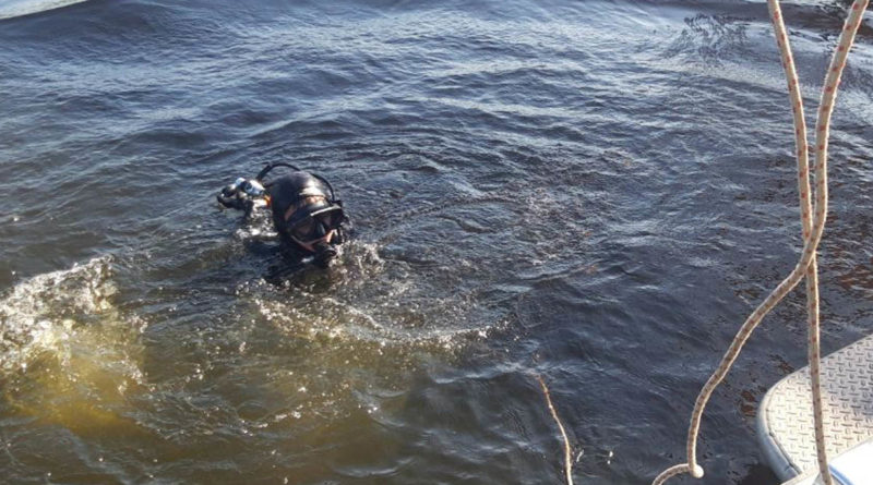 На реке Самаре в 40 метрах от берега утонул мужчина