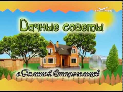 Дачные советы 25.05.2017. Высадка арбузов