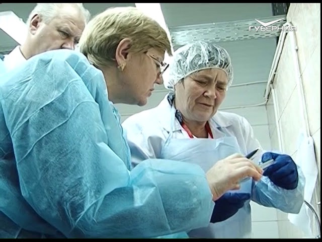 Ветеринары Самарской области отмечают свой профессиональный праздник