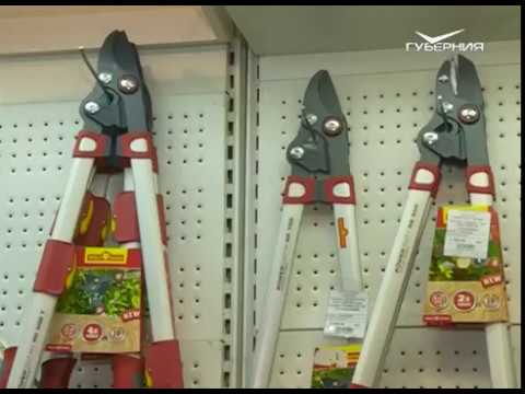 Перец, дачные советы и срезание черенков. Удачные заметки от 27.02.2018