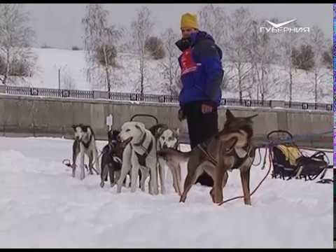 О чем говорят 25.02.2017. Волга Квест