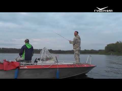 Ловля судака во время летнего похолодания. Рыбацкое счастье