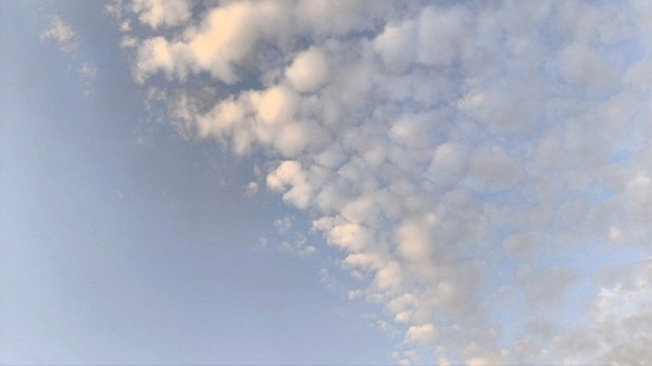 В Самарской области 23 апреля сохранится 27-градусная жара