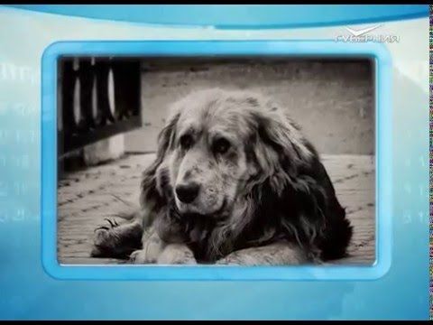 Календарь губернии 14.02.2016