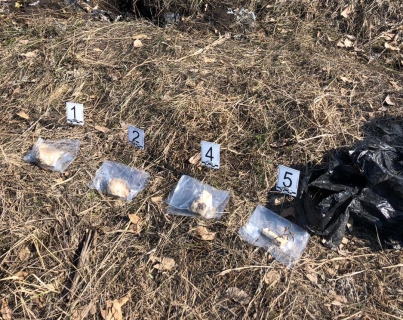 В Тольятти на улице Спортивной нашли череп мужчины