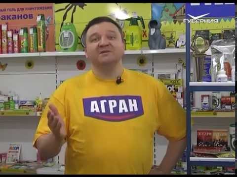 Дачные советы 15.10.2015