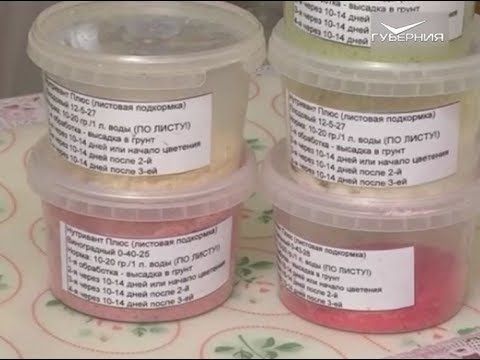 Органические и минеральные удобрения. Дачные советы 