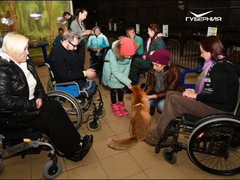 Лилия Быстрицкая. Народное признание