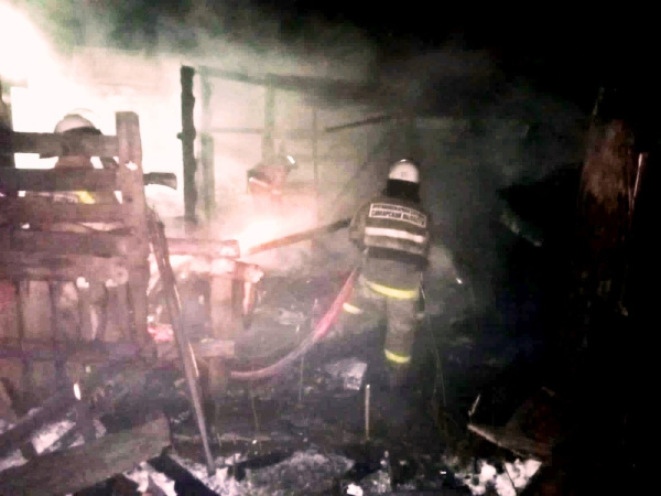 На пожаре в Самарской области погибли домашние поросята