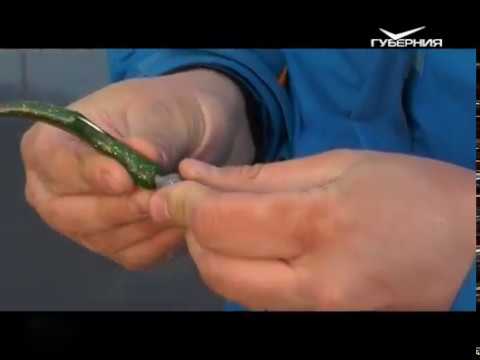 Улов на проверенном месте. Рыбацкое счастье