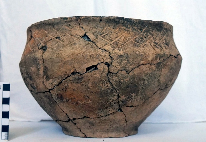 Археологи нашли в Самарской области 14 погребений бронзового века 