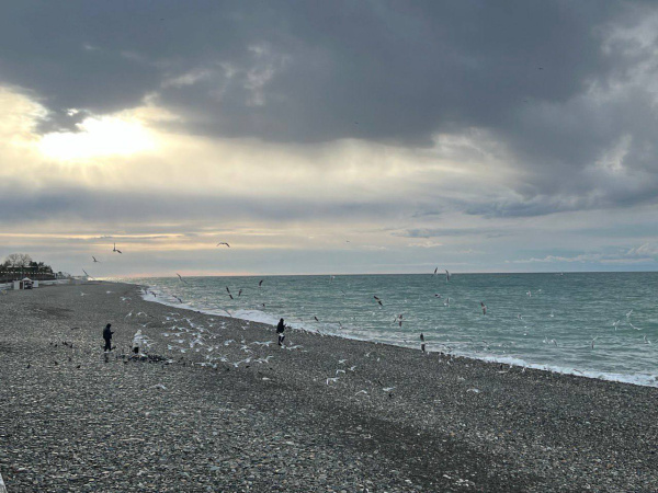 Психолог рассказал, как вернуться из отпуска отдохнувшим