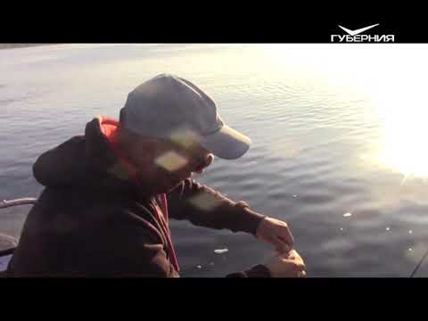 Ловля окуня. Рыбацкое счастье