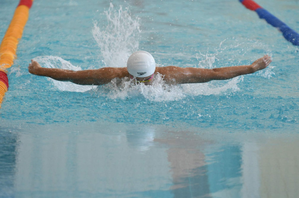 Пловцы из Самарской области успешно выступили на Кубке Сальникова