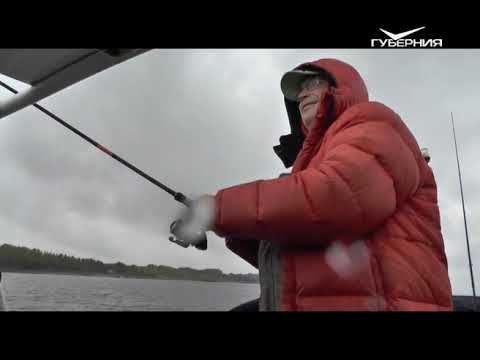 Ловля окуня в тумане. Рыбацкое счастье