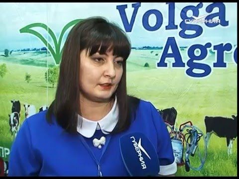 Самарское - значит наше! 11.12.2015 Часть 2