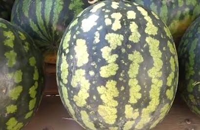 Арбуз. Сохраняйте чек