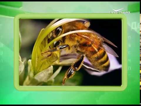 Календарь губернии 30.04.2017