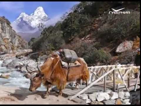 О чем говорят 16.11.2015 