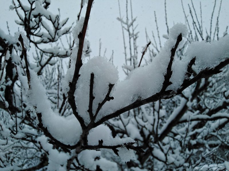 В Самарской области 2 ноября ожидается сильный снегопад и метель