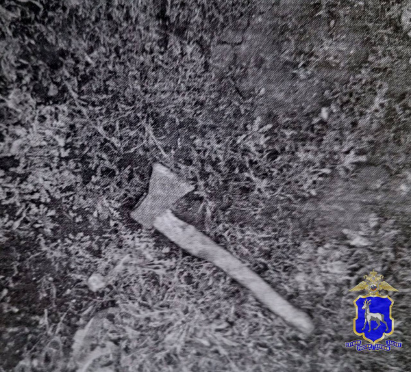 Житель Самарской области угрожал топором своему 17-летнему пасынку