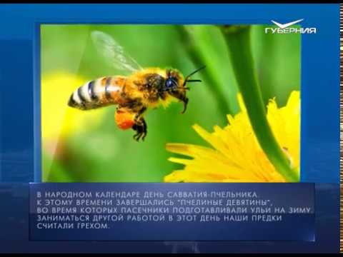 Календарь губернии 10.10.2017