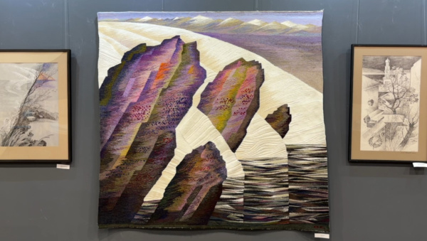 В Самаре открылась выставка графики Олега Емельянова