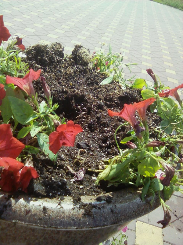 В Самаре вандалы испортили внешний вид площади Героев 21-й Армии