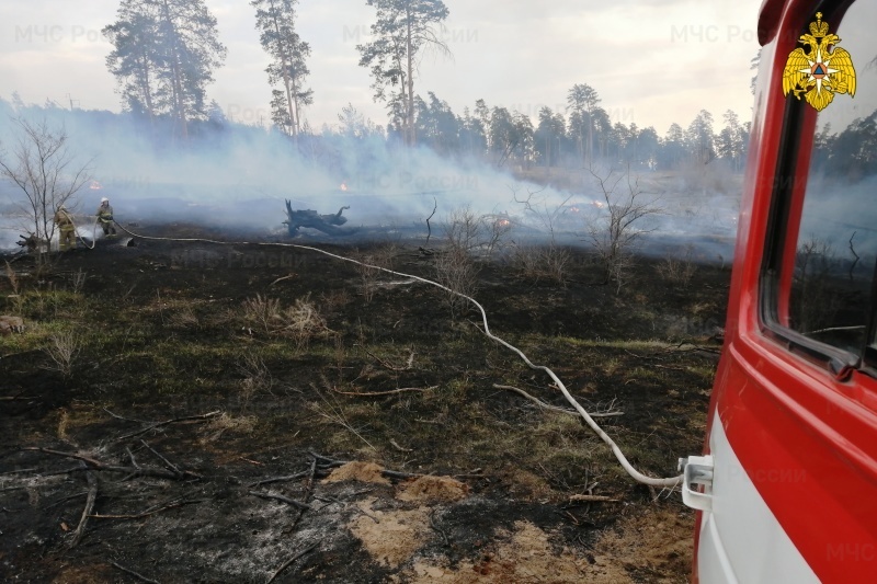 В Самарской области с 7 по 11 мая произошло 127 природных пожаров