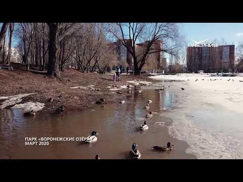 Воронежские озера. Губерния на высоте