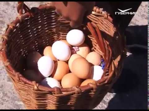 Как в Самарской области готовятся к Сабантую