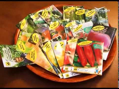 Планируем участок и Консервируем систему автополива. Удачные заметки от 21.11.2017