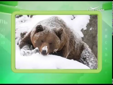 Календарь губернии 26.03.2016